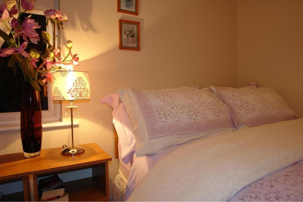 Bed and Breakfast Annandale House Dublín Exterior foto